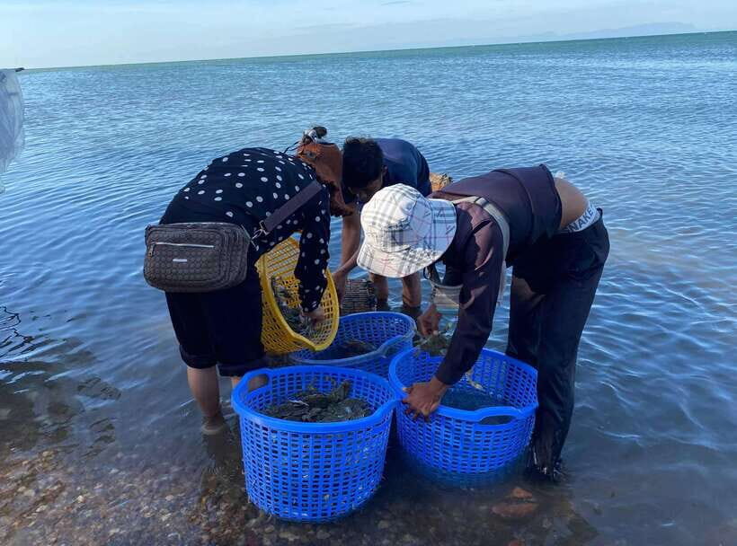A Day Trip to Kep Beach and Kampot from Phnom Penh - Getting from Phnom Penh: pickup options and how to pace the long ride