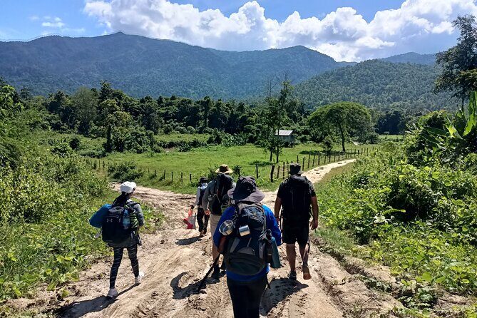Aural Mountain Trek: Cambodia Tallest Peak Challenge - Aural Mountain (1813 m) and the Cardamom Mountains: What You’re Hiking Toward