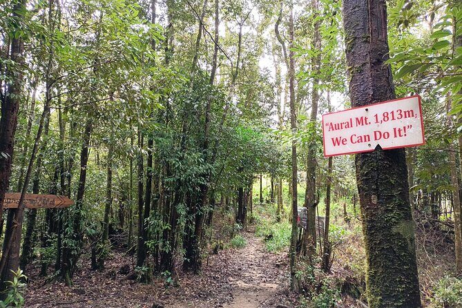 Aural Mountain Trek: Cambodia Tallest Peak Challenge - Who This Trek Suits Best (and Who Should Rethink It)