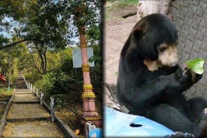 Cambodia Wildlife Sanctuary and Countryside Tour - Key highlights to know before you go