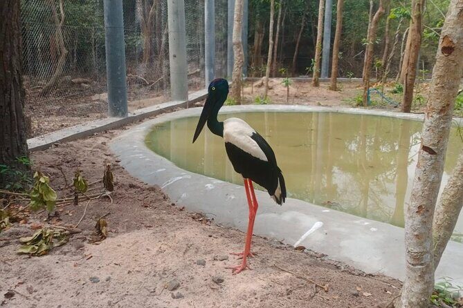 Cambodia Wildlife Sanctuary and Countryside Tour - Pickup, mobile tickets, and why a group of 17 helps