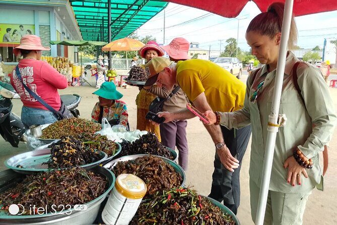 Exploring Siem Reap: Scenic Journey from Phnom Penh or Vice Versa - English-speaking driver, air-conditioning, and bottled water