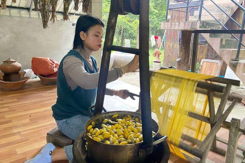 From Phnom Penh: Half-Day Silk Island Tour with Guide - Silk Farm Community Visit: From Caterpillars to Finished Products