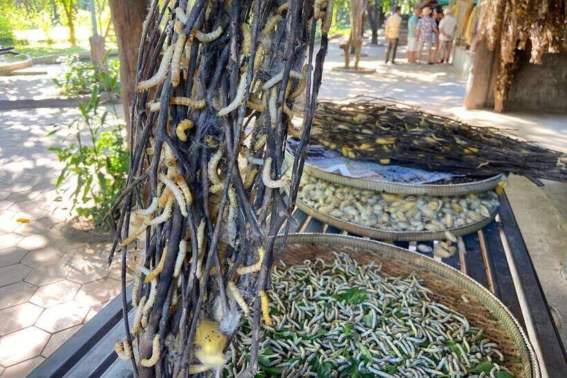From Phnom Penh: Half-Day Silk Island Tour with Guide - The Ferry to Silk Island: Part Transit, Part Story