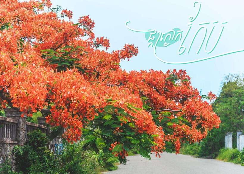 From Phnom Penh: Kampot and Kep Day Trip with English Guide - Brateak Krola and Kep National Park viewpoints: short trails, big views