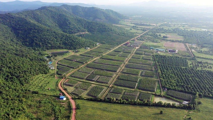 From Phnom Penh: Kampot Day Trip to Beautiful place W/ Guide - Key highlights worth showing up for
