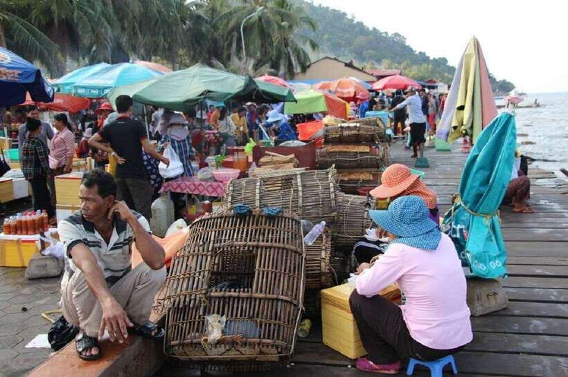 From Phnom Penh: Kampot Day Trip to Beautiful place W/ Guide - Private guide impact: why this tour feels better than a standard checklist
