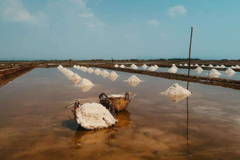 From Phnom Penh: Kampot Day Trip to Beautiful place W/ Guide - Salt fields and a salt producers association: local work, seasonal reality