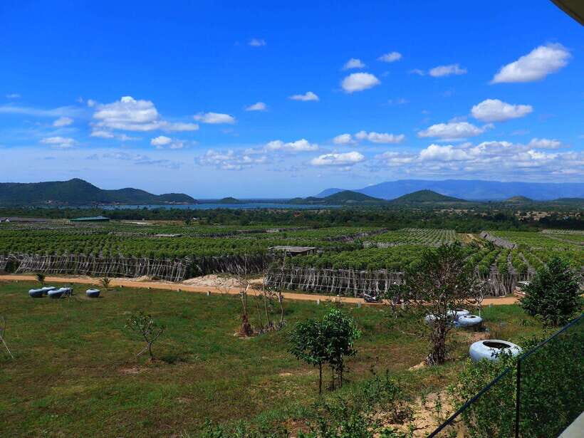 From Phnom Penh: Kampot Day Trip to Beautiful place W/ Guide - Timing, walking, and comfort tips for a full 9-hour loop