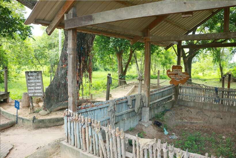 Full Day Phnom Penh City Tour with Private vehicle and guide - What to Bring for Temples, Museums, and Phnom Penh Weather