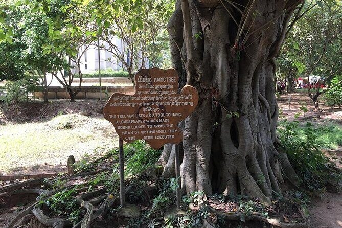 Half Day Trip to Killing Field and Genocidal Museum - Price and logistics: is USD 130 worth it?