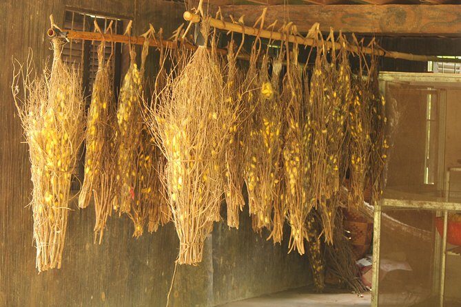 Island Community Life in Phnom Penh - What to Expect From the Timing (Morning or Afternoon)