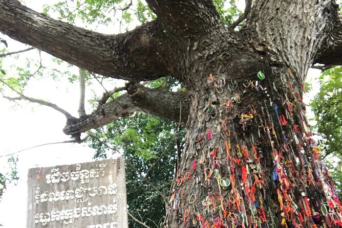 Khmer Rouge, genocide museum &killing field tour - Should you book this Khmer Rouge, genocide museum, and killing field tour?