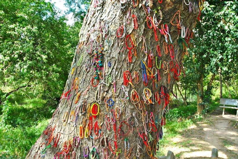 Killing Fields and S21 Half day by Private Tour - Should you book the Killing Fields and S-21 half-day tour?