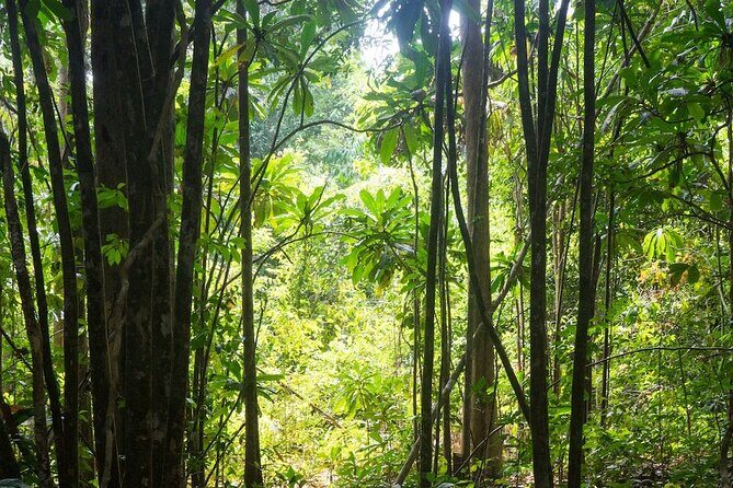 Kirirom National Park Private Day Tour from Phnom Penh - Hiking around lakes and forests in pine country