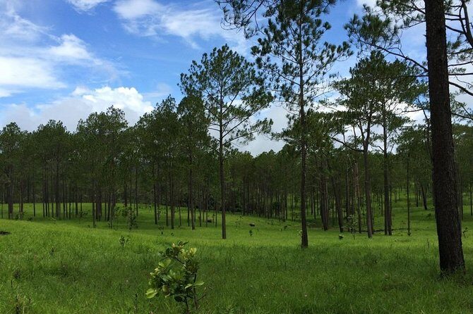 Kirirom National Park Private Day Tour from Phnom Penh - Price and value: what you really pay for at $127