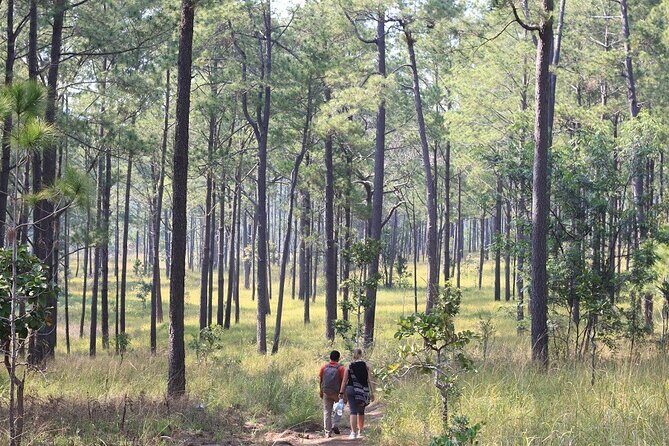 Kirirom National Park Private Day Tour from Phnom Penh - Who this tour suits best (and who should skip it)