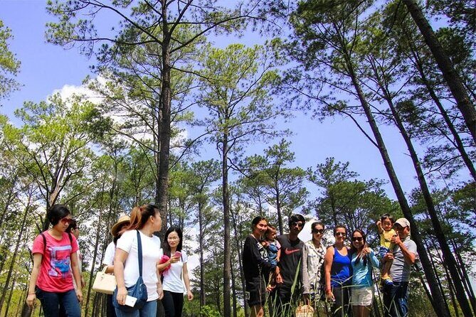 Kirirom National Park Private Day Tour from Phnom Penh - Should you book the Kirirom and Chambok private day trip?