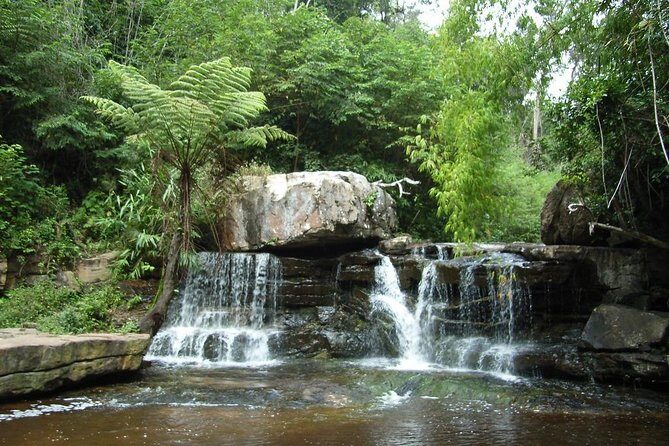 Kirirom National Park Private Day Tour from Phnom Penh - The Chambok waterfall trek: short hike, real payoff