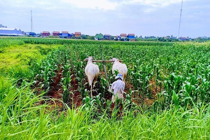 Phnom Penh Countryside Cycle Tour - Why this ride beats staying stuck in Phnom Penh