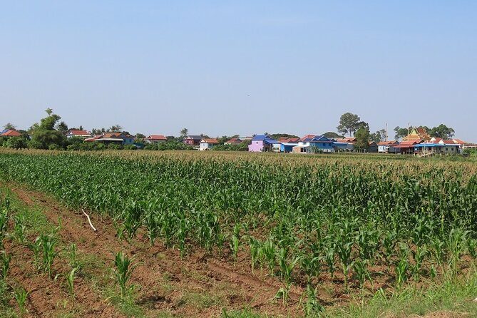 Phnom Penh Countryside Cycle Tour - The real wow: sedge mat weaving and silk weaving workshops