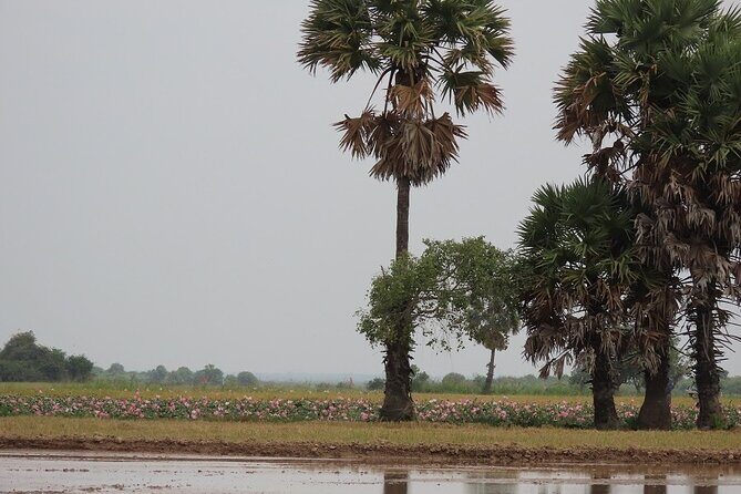 Phnom Penh Countryside Cycle Tour - Price and value: is $45 a fair deal?