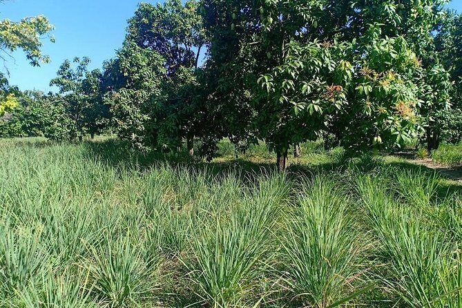 Phnom Penh Countryside Cycle Tour - Who this Phnom Penh countryside cycle tour fits best