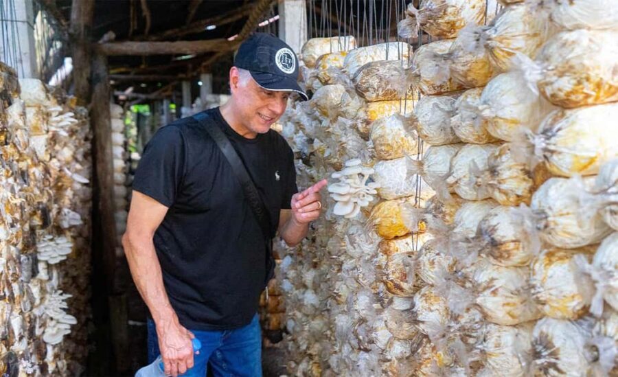 Phnom Penh Evening Food Tour -On Promotion Price limit Offer - Russian Market: final market energy and your last savory hits