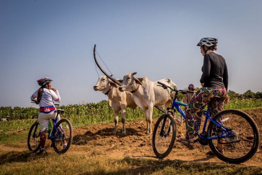 Phnom Penh: Mekong Islands & Silk Islands Guided Bike Tour - Silk Island cycling: 25 km of orchards, gardens, and easy effort