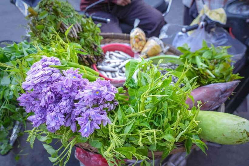 Phnom Penh: Morning Market & Guided Breakfast Tour by Tuktuk - Stop Four: Turmeric Crepes Made the Traditional Way