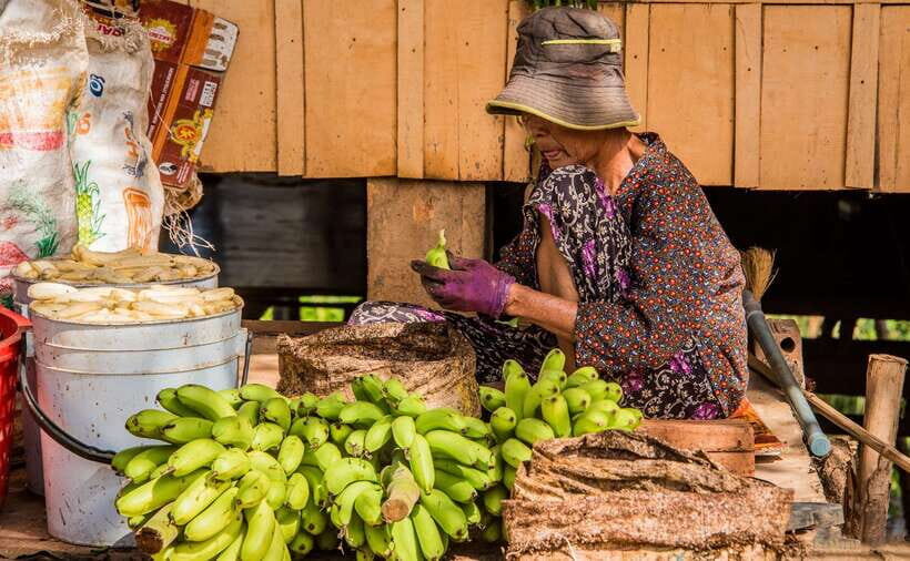Phnom Penh: Phnom Oudong & Koh Chen Village - Lunch include - Should you book this Phnom Penh day trip?