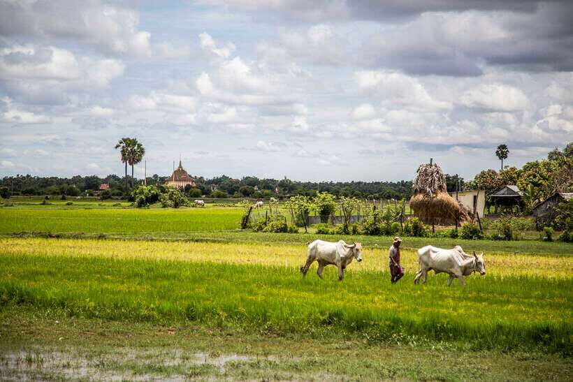 Phnom Penh: Phnom Oudong & Koh Chen Village - Lunch include - Comfort, timing, and who this tour fits best