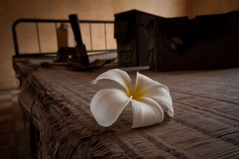 Phnom Penh private tour Tuol Sleng & Choeng Ek Killing Field - Hotel pickup in Phnom Penh: quick, easy, and mostly calm