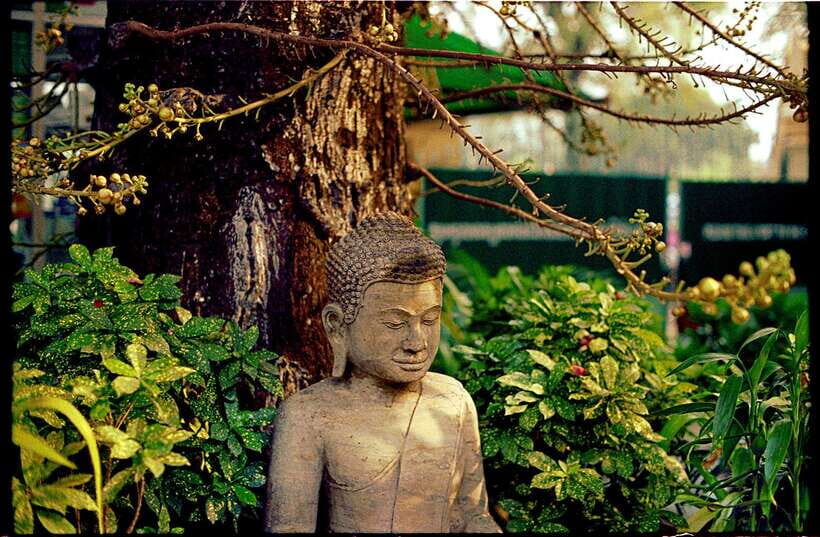 Phnom Penh: Private Walking Tour with a Local - Key points worth planning around