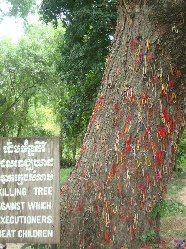 Phnom Penh: S-21 Prison and Killing Fields Half-Day Tour - 8:00 AM Pickup in Phnom Penh: How the Timing Works