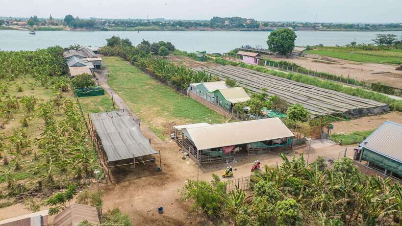 Phnom Penh: Silk Island Tour by Vespa with Tuk Tuk Available - From hotel pickup to Vespa rhythm in Phnom Penh