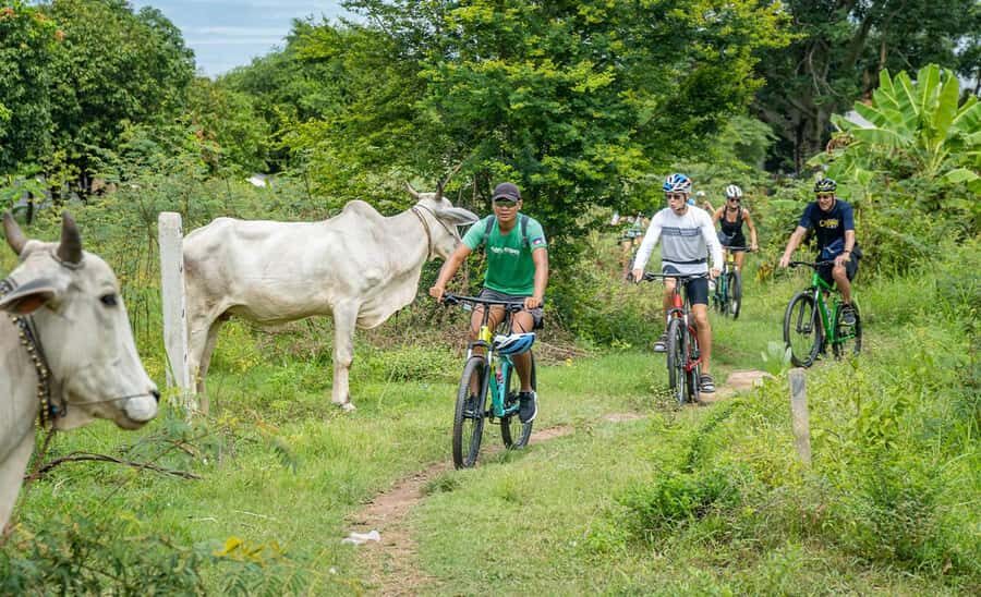 Phnom Penh: Silk Islands Half-Day Bike Tour - Passing Through Villages Like Akreiy Ksatr