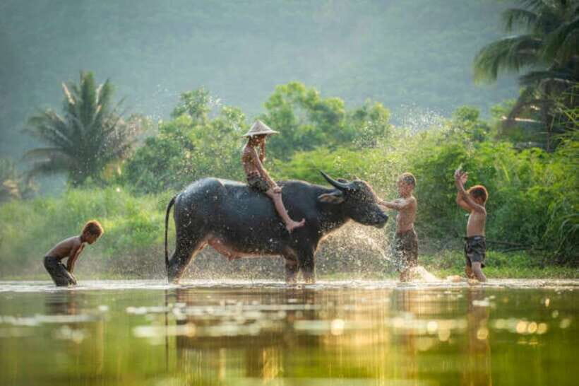 Phnom Penh to Siem Reap cruise/land tour (one way) - Choosing the best route: Mekong vs Tonle Sap