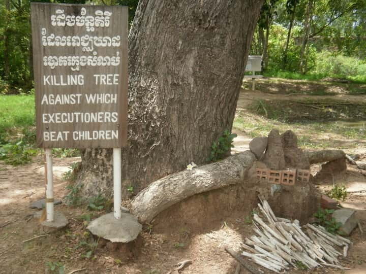 Phnom Penh's Killing Fields: 4-Hour Guided Tour - Key things to know before you go