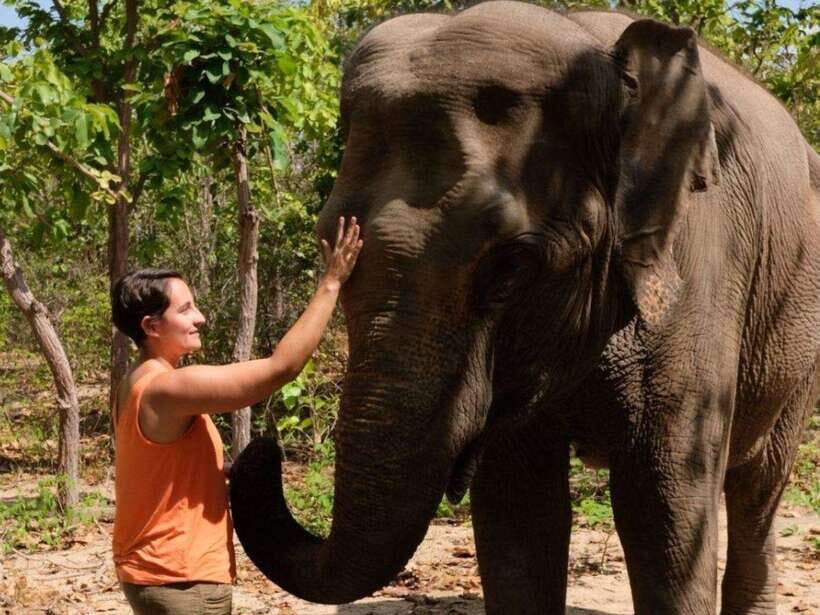 Phnom Tamao Wildlife Center & Buddha Kiri Cambodia Day Tour - Why Phnom Tamao and Buddha Kiri Pair So Well