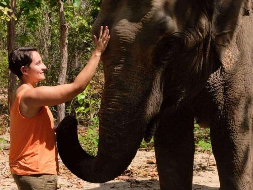 Phnom Tamao Wildlife Center & Buddha Kiri Cambodia Day Tour - Hotel Pickup and the Pace of an 8–9 Hour Private Day