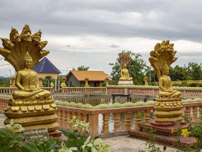 Phnom Tamao Wildlife Center & Buddha Kiri Cambodia Day Tour - Comfort Tips So You Don’t Feel Beat After 8–9 Hours