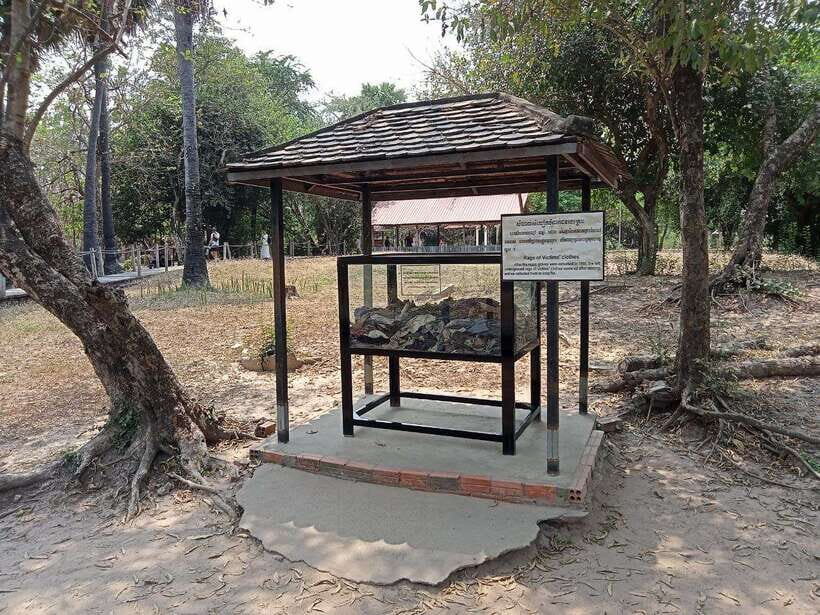 Private Half Day Trip to Genocidal Museum & Killing Field - Should you book this Phnom Penh private half-day?