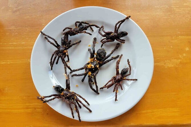 Private Taxi Phnom Penh To Siem Reap Include Floating Villages - Stop 1: Skuon Spider Sanctuary (Skun) and the fried-insect culture