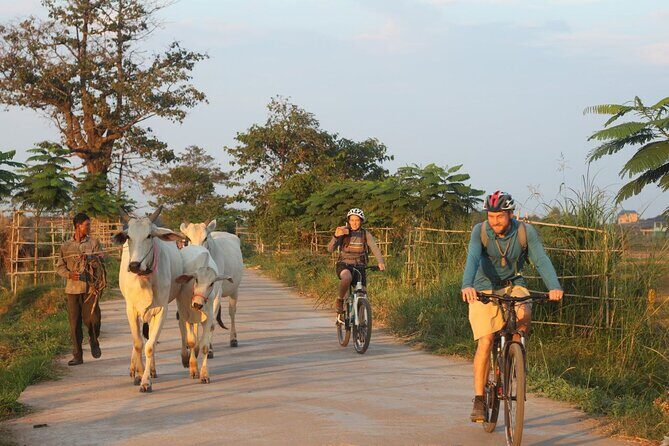Silk Island at Twilight Cycle Encounter - Key things that make this tour click