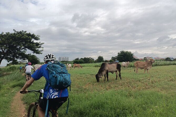Silk Island at Twilight Cycle Encounter - The 2:00 pm start: logistics that save your time (and your patience)