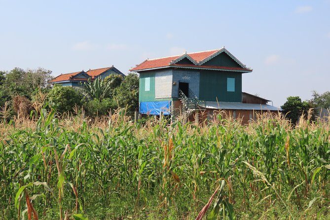 Silk Island & countryside of Phnom Penh by Tuk Tuk - Stop 1: Phsar Areyksat, wet market smells, and sedge mat weaving