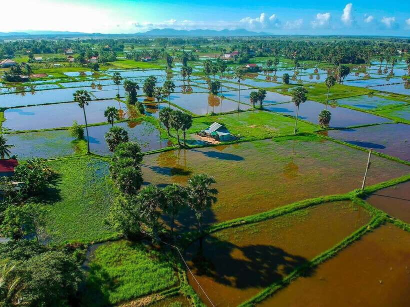 Small Group: One Day Phnom Penh to Kampot, Kep include lunch - Salt Fields and Kampot Pepper: What Local Production Looks Like