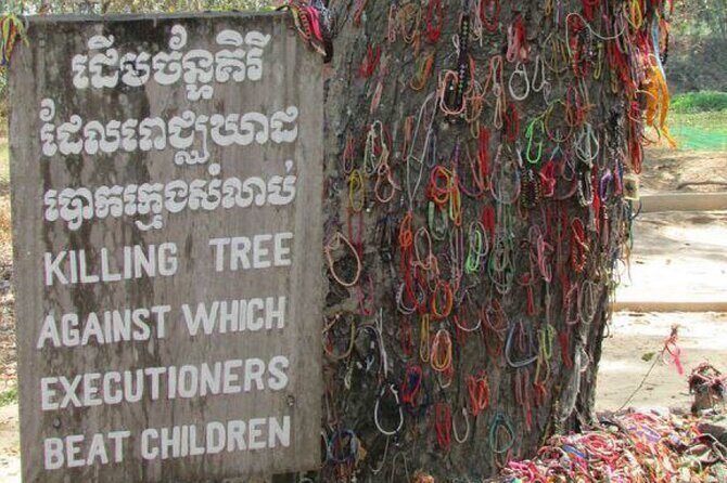 Tuol Sleng Genocide Museum (S-21) and Choeung Ek Killing Fields Tour - Should you book this Tuol Sleng and Choeung Ek tour?